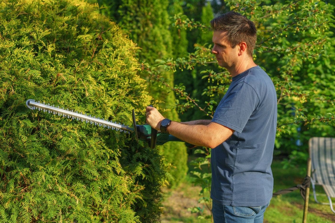 Hecke wird mit einer Heckenschere geschnitten